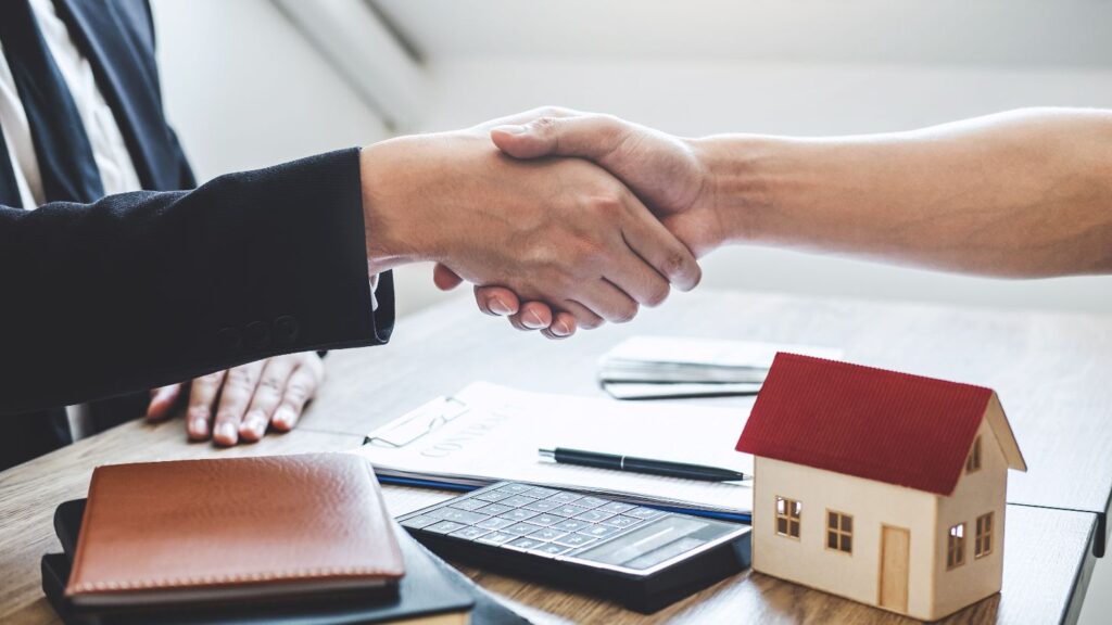 shake hands with the owner